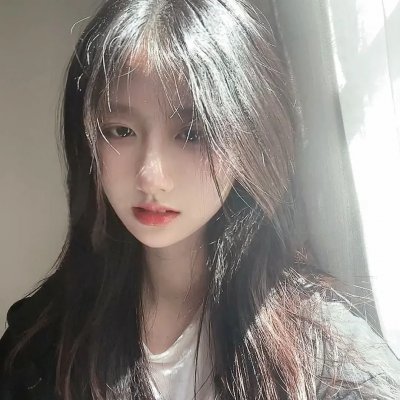 富贵吉娃娃