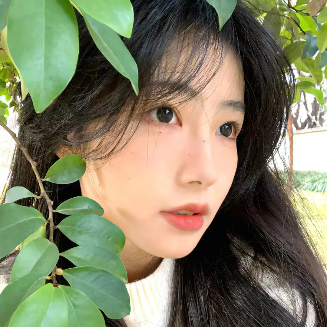 最后的真相